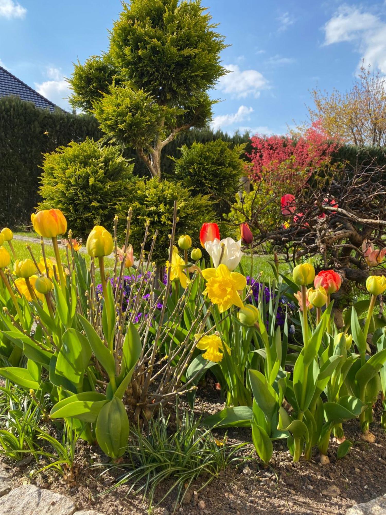Hempis Ferienwohnungen Hochkirch 外观 照片